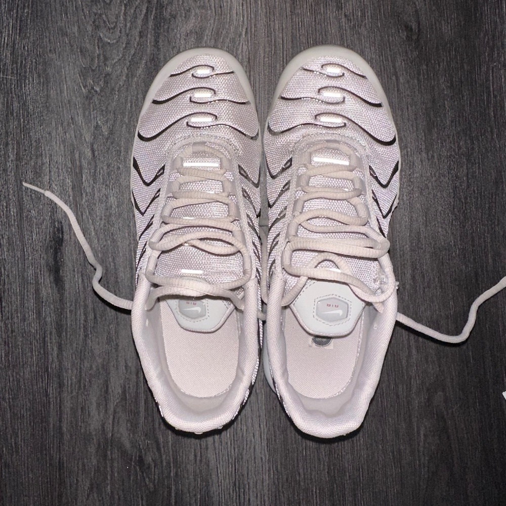 Nike Air Max TN trainers
